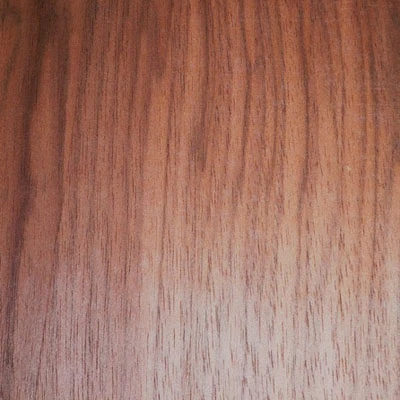 Amerikanischer Nussbaum | V03