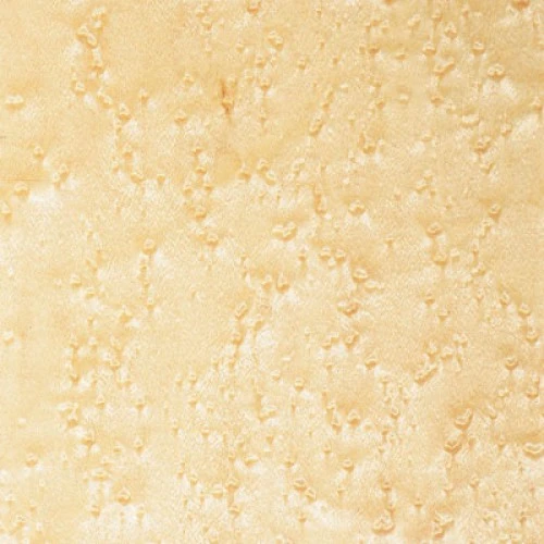 Vogelaugenahorn | V15